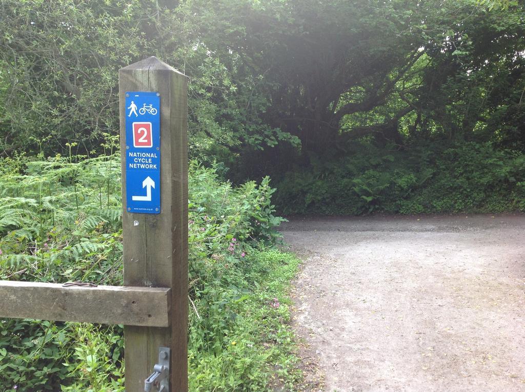 Eden's Yard Backpackers Vandrarhem St Austell Exteriör bild