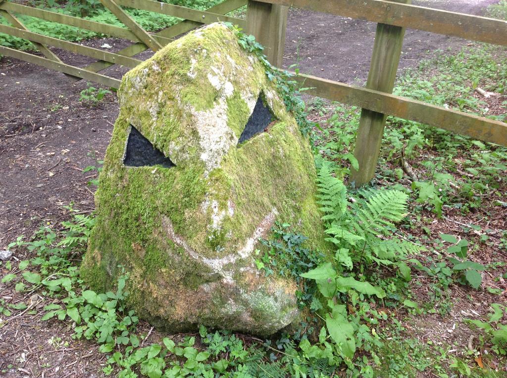 Eden's Yard Backpackers Vandrarhem St Austell Exteriör bild