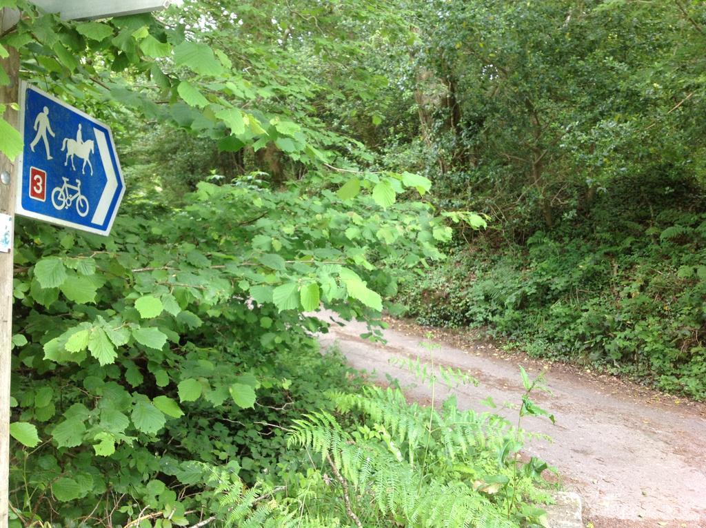 Eden's Yard Backpackers Vandrarhem St Austell Exteriör bild