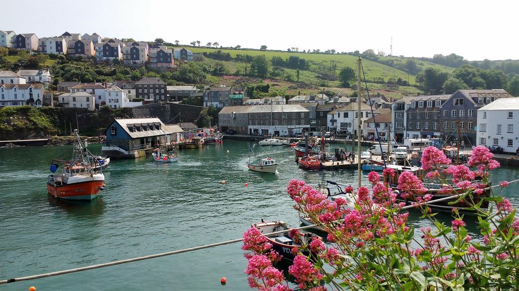 Eden's Yard Backpackers Vandrarhem St Austell Exteriör bild